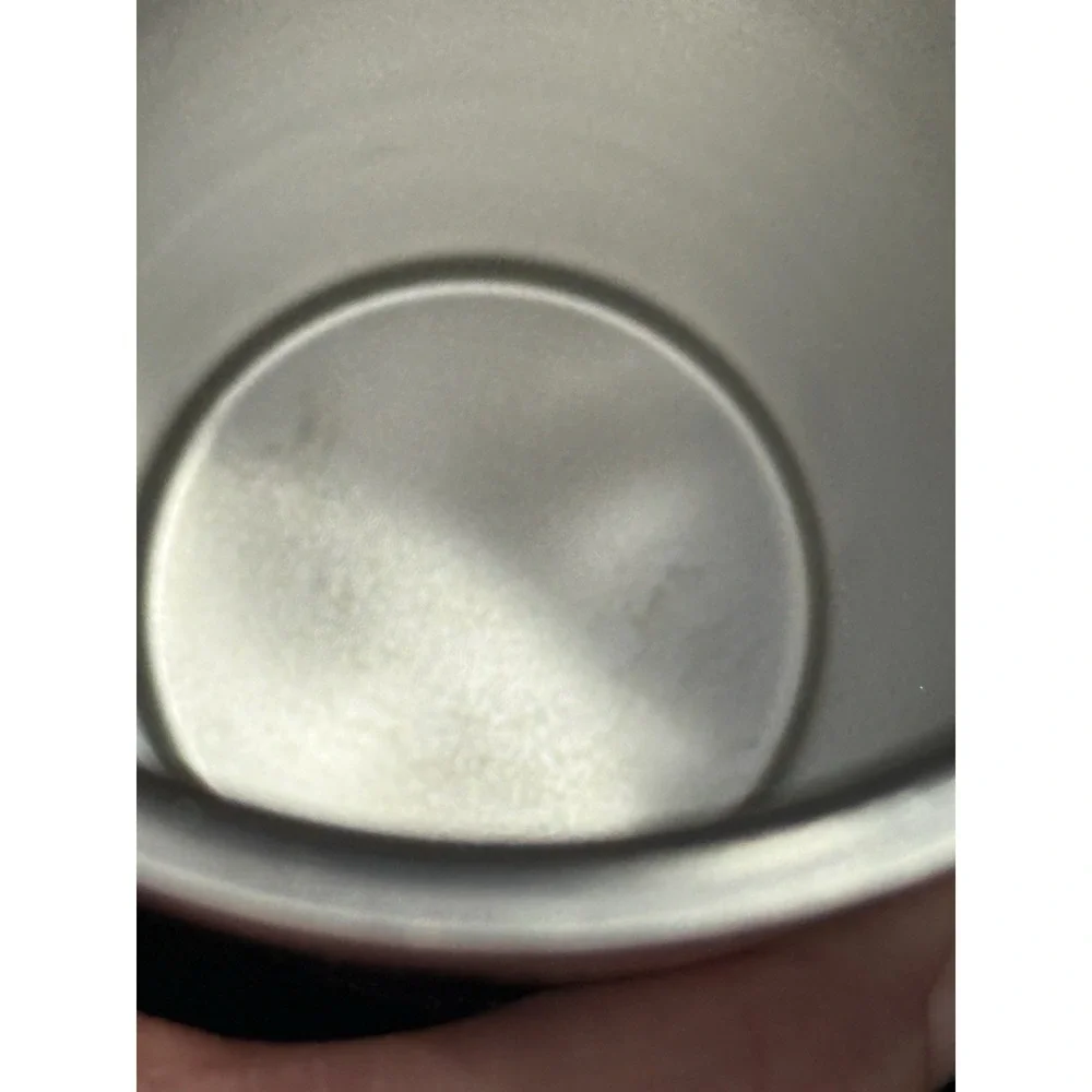Disney's Hollywood Studios Stainless Steel Starbucks Tumbler with‎ Straw 2023